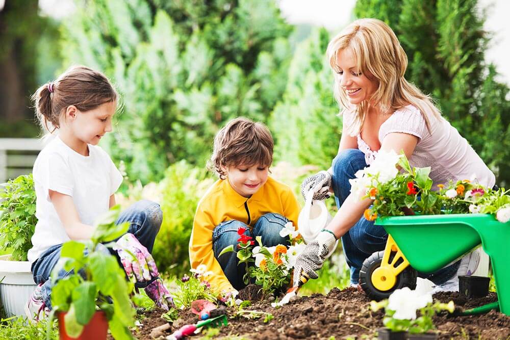 Gardening Makes You Happy and Cures Depression