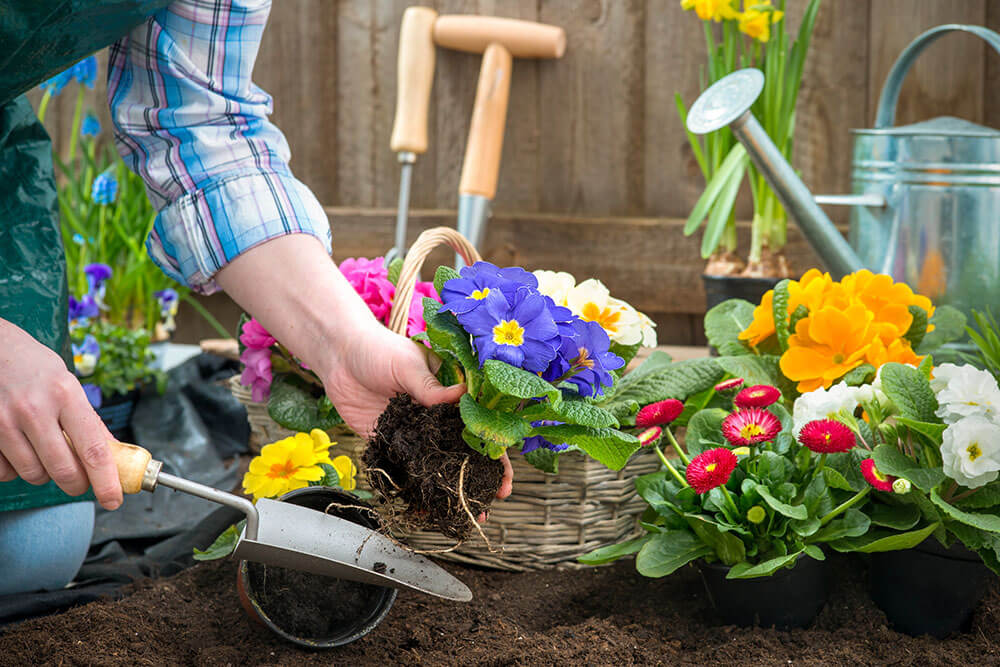 Learn What's New in Gardening