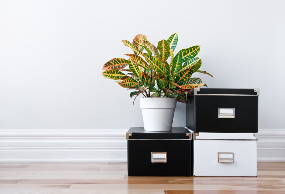 Home Storage & Organization Guide