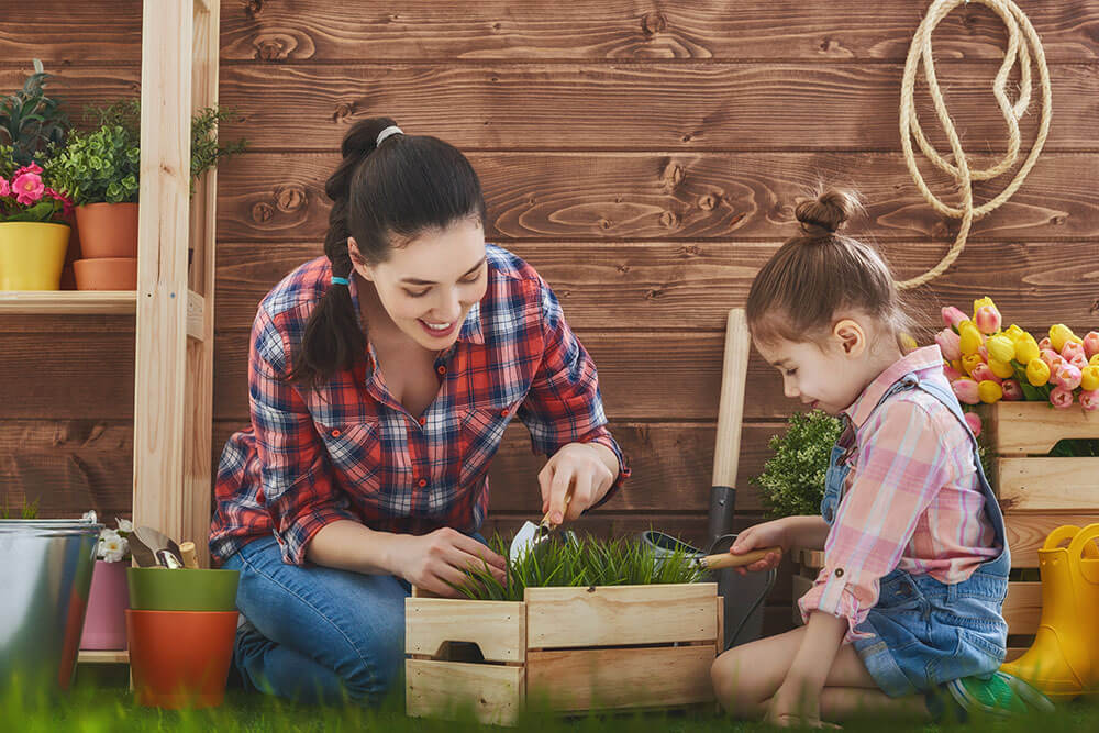 Gardening Without Water