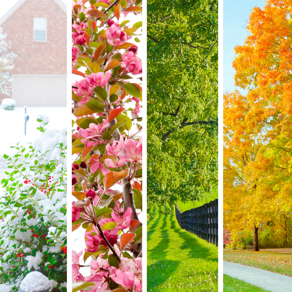 Home Seasonal Cost Guide